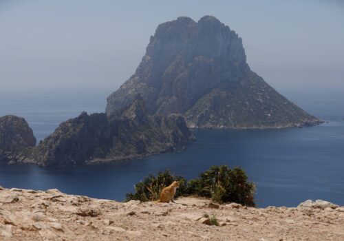 Natur erleben in Ibiza: Highlights für Ausflüge