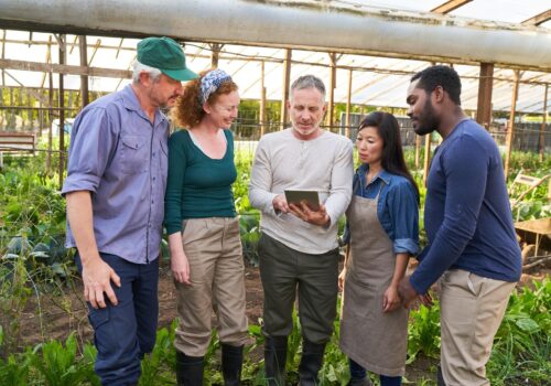 Neue Perspektiven für junge Menschen im ländlichen Arbeitsmarkt